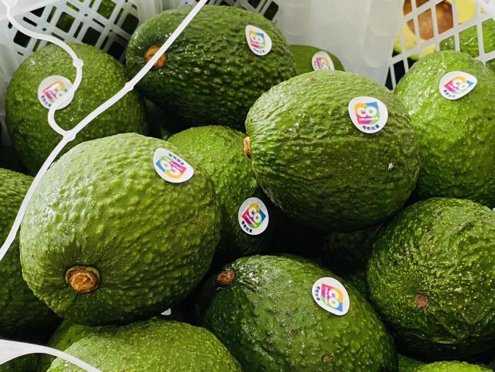 Colombia increases its exports of Hass avocado to China